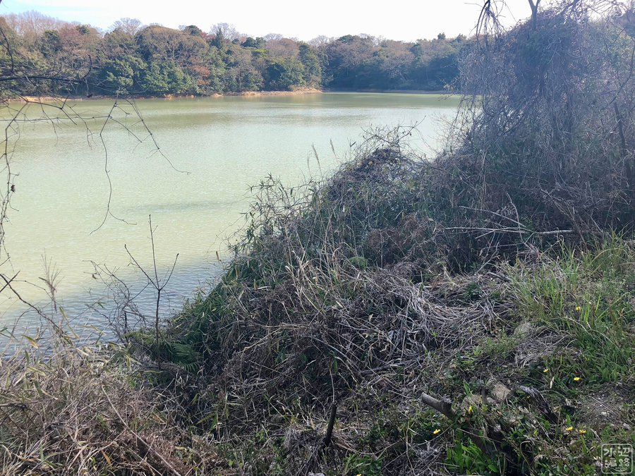 f:id:cippillo:20190910151012j:plain f:id:cippillo:20190910151012j:plain