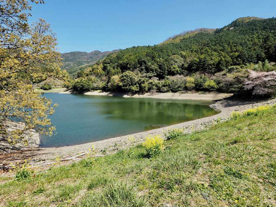 f:id:cippillo:20190910222152j:plain f:id:cippillo:20190910222152j:plain