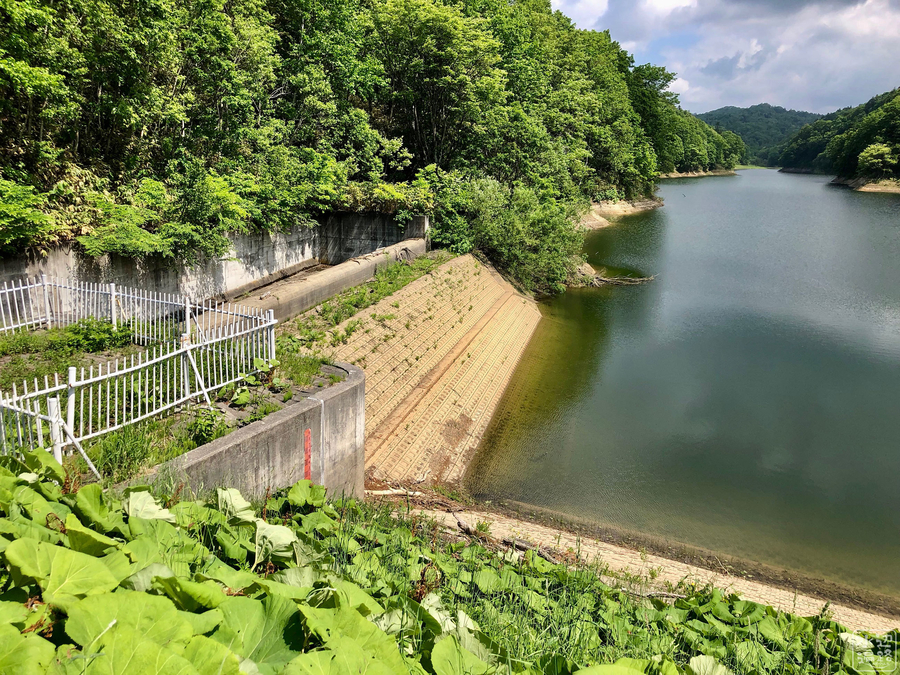 f:id:cippillo:20190913132203j:plain