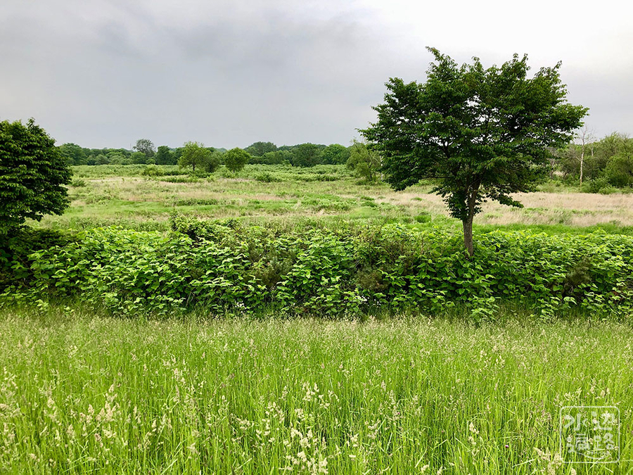 f:id:cippillo:20190914115258j:plain f:id:cippillo:20190914115258j:plain