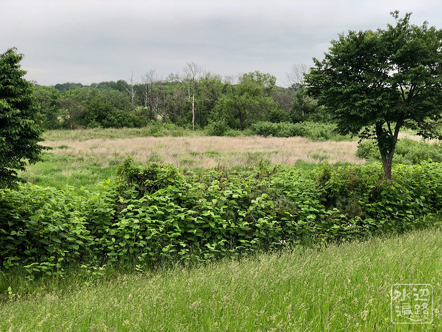 f:id:cippillo:20190914115303j:plain f:id:cippillo:20190914115303j:plain