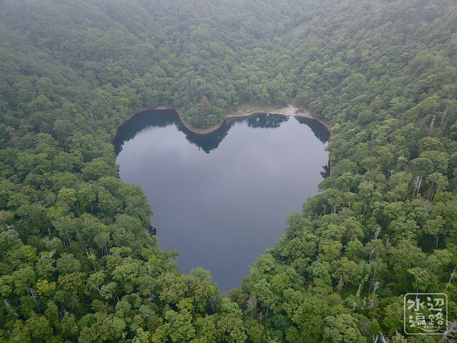 f:id:cippillo:20190914122803j:plain