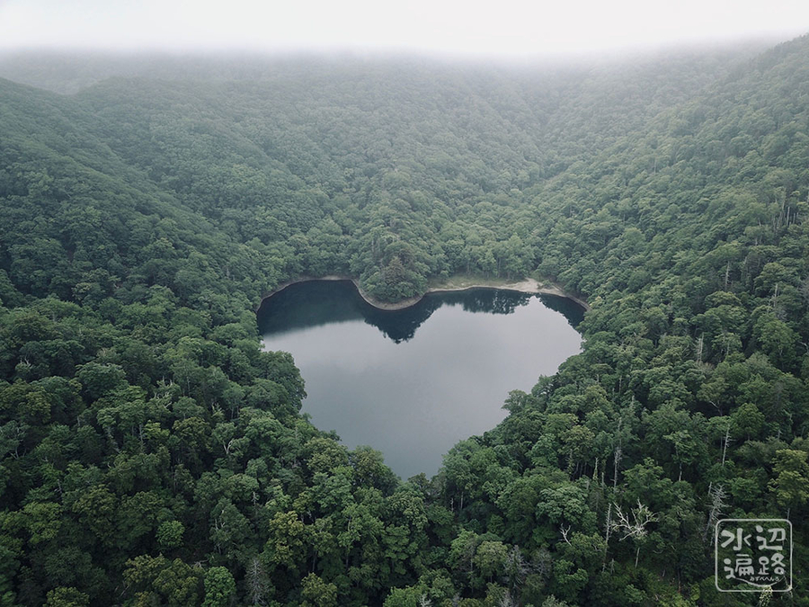 f:id:cippillo:20190914122809j:plain