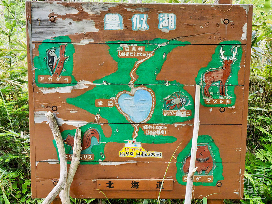 f:id:cippillo:20190914125102j:plain