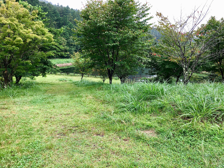 f:id:cippillo:20190915132308j:plain
