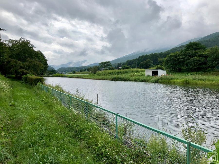 f:id:cippillo:20190916185137j:plain