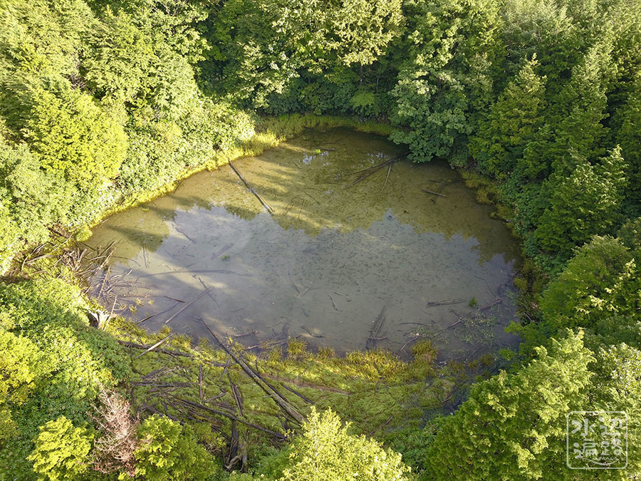 f:id:cippillo:20190917133322j:plain