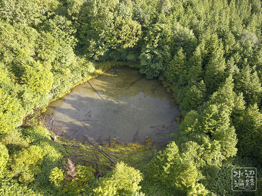 f:id:cippillo:20190917133328j:plain