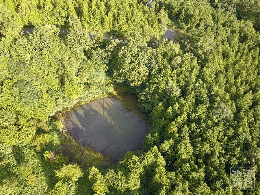 f:id:cippillo:20190917133335j:plain