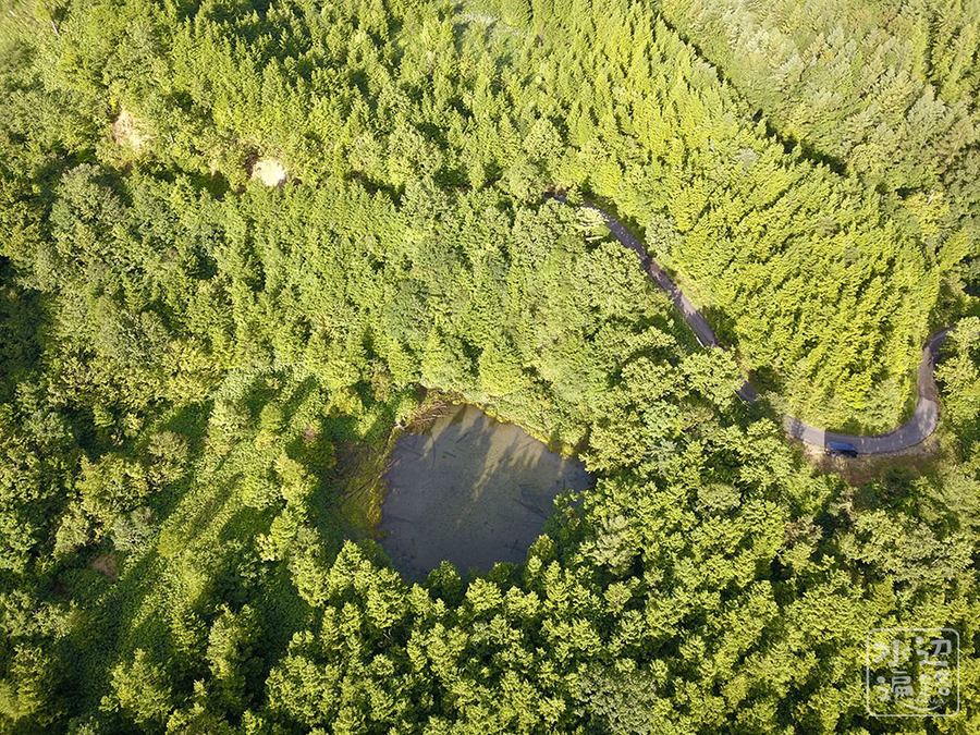 f:id:cippillo:20190917133342j:plain