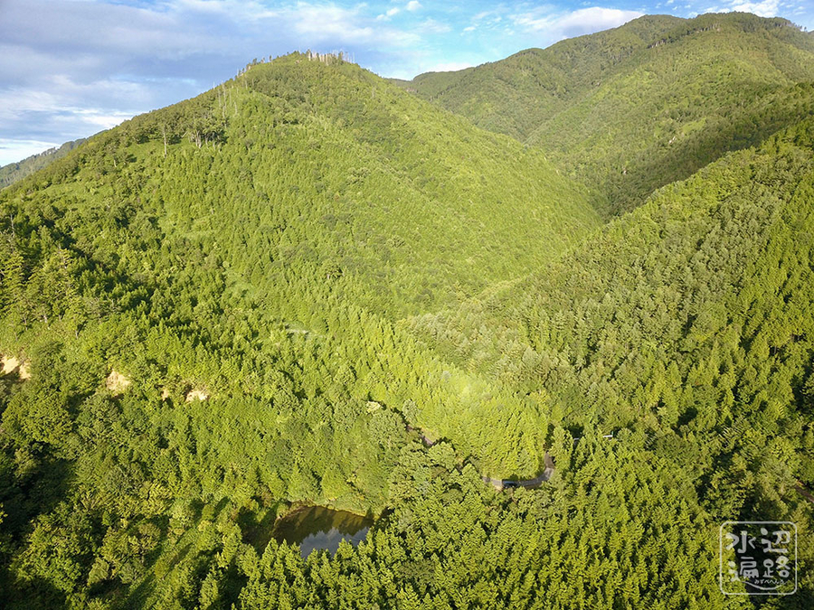 f:id:cippillo:20190917133348j:plain