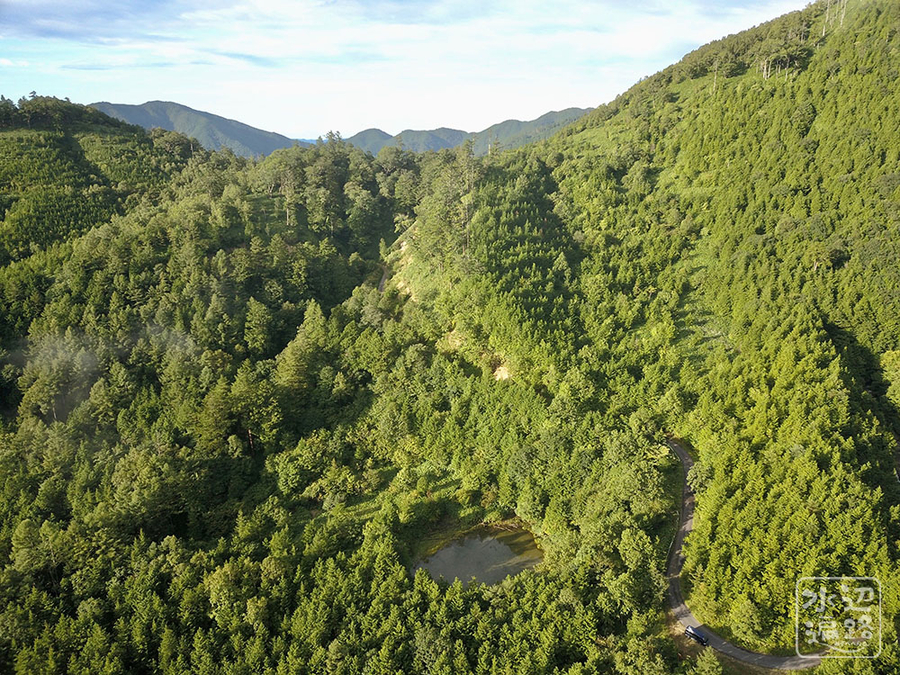 f:id:cippillo:20190917133354j:plain