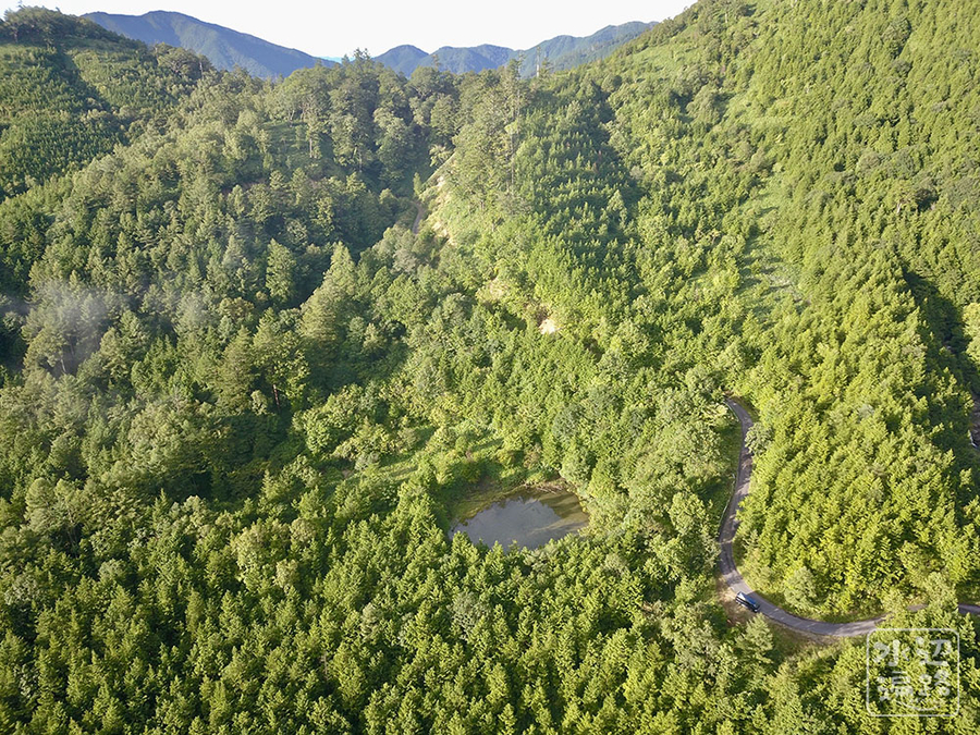 f:id:cippillo:20190917133359j:plain