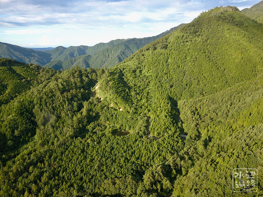 f:id:cippillo:20190917133408j:plain