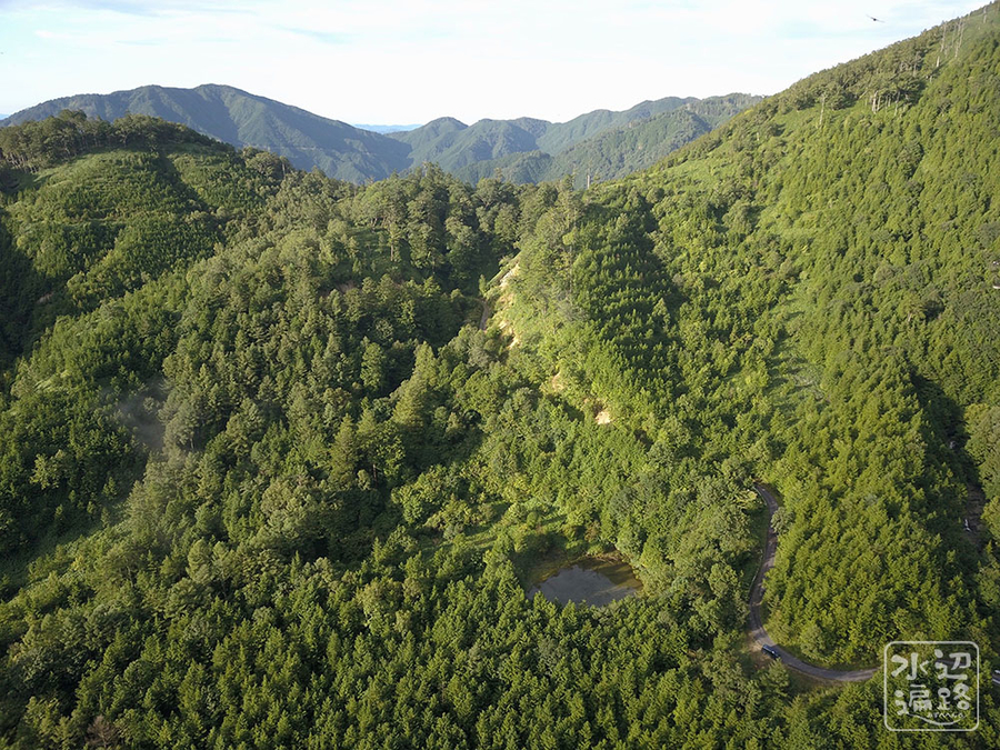 f:id:cippillo:20190917133425j:plain