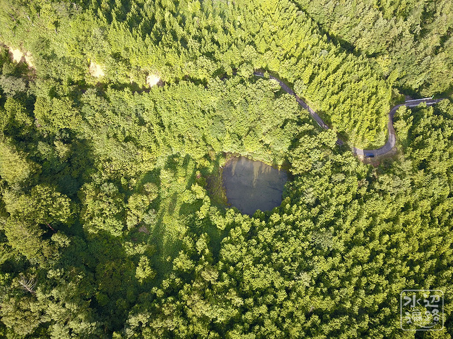 f:id:cippillo:20190917133438j:plain