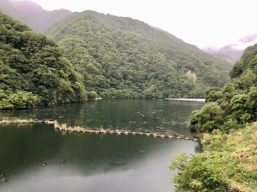 f:id:cippillo:20190917164505j:plain