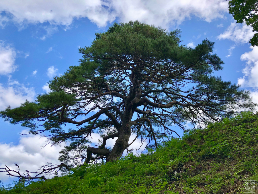 f:id:cippillo:20190922175310j:plain f:id:cippillo:20190922175310j:plain