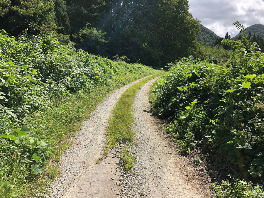 f:id:cippillo:20190922231019j:plain