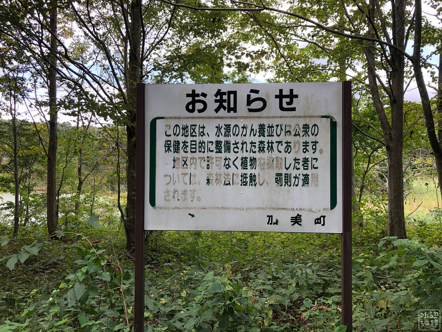 f:id:cippillo:20190923101620j:plain