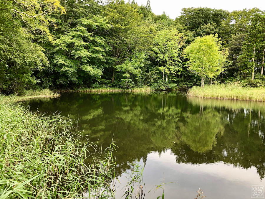 f:id:cippillo:20190924145924j:plain f:id:cippillo:20190924145924j:plain