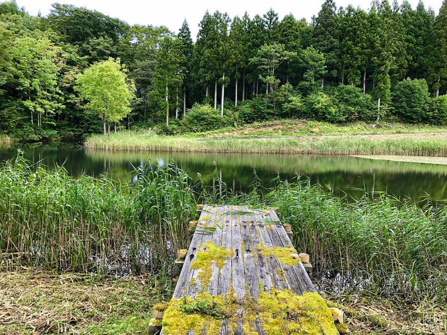 f:id:cippillo:20190924145946j:plain