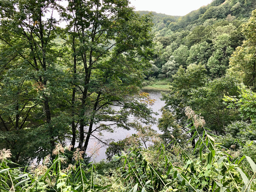 f:id:cippillo:20190924152246j:plain