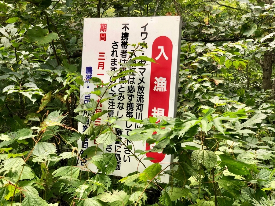 f:id:cippillo:20190924152354j:plain