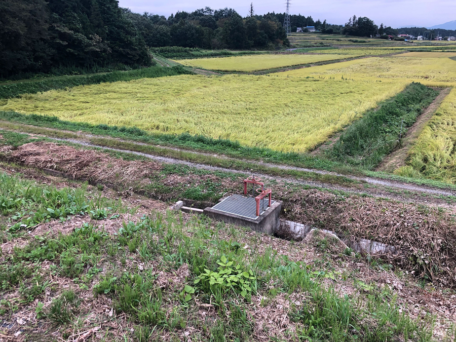 f:id:cippillo:20190925131727j:plain