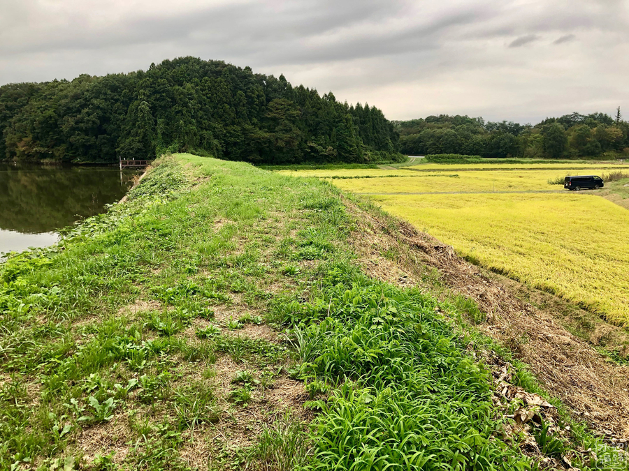 f:id:cippillo:20190925131755j:plain