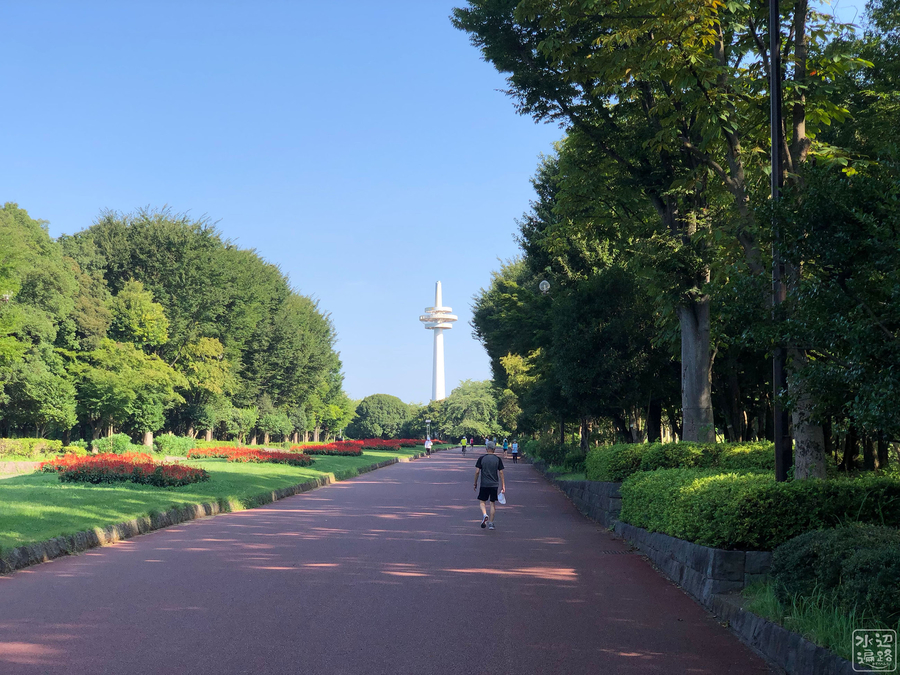 f:id:cippillo:20190927142531j:plain