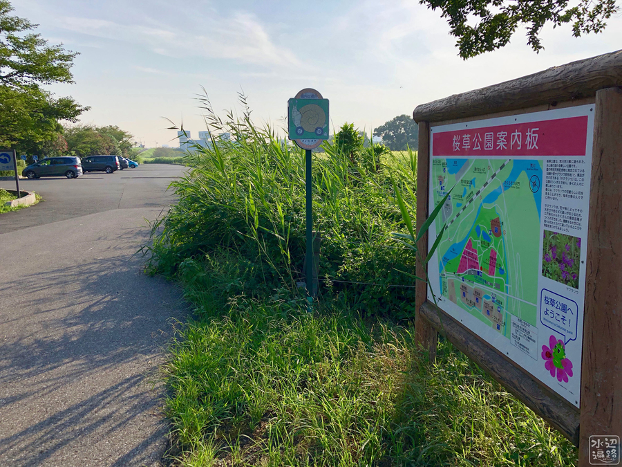 f:id:cippillo:20190928083327j:plain