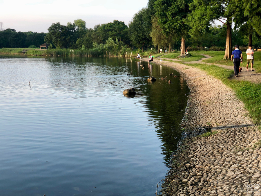f:id:cippillo:20190928094454j:plain