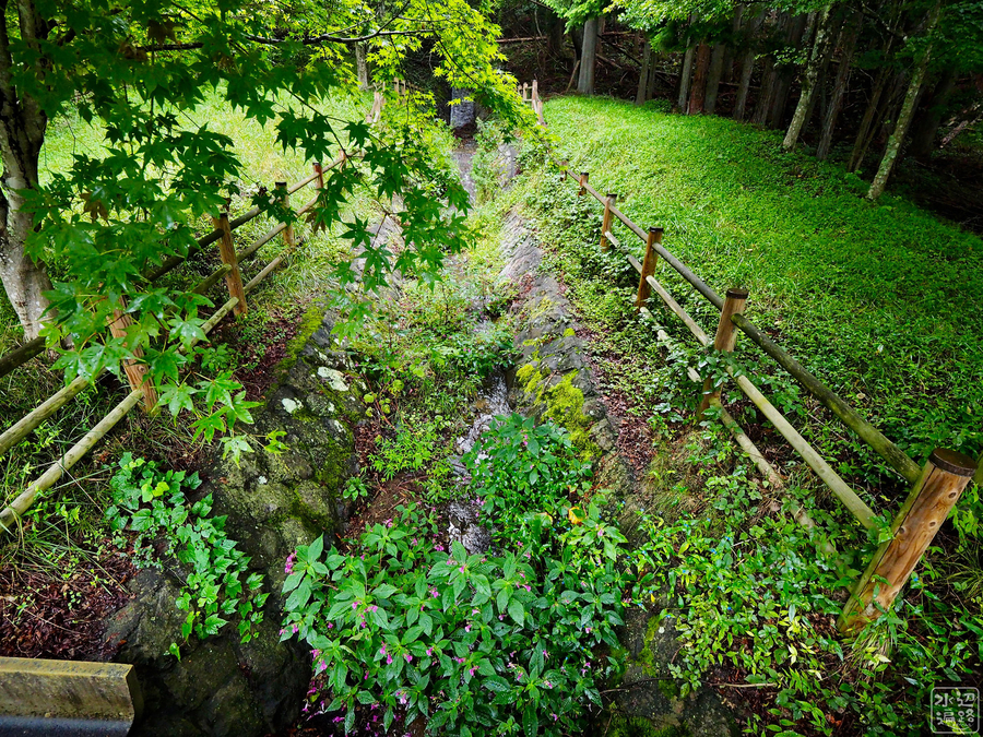 f:id:cippillo:20190929072016j:plain