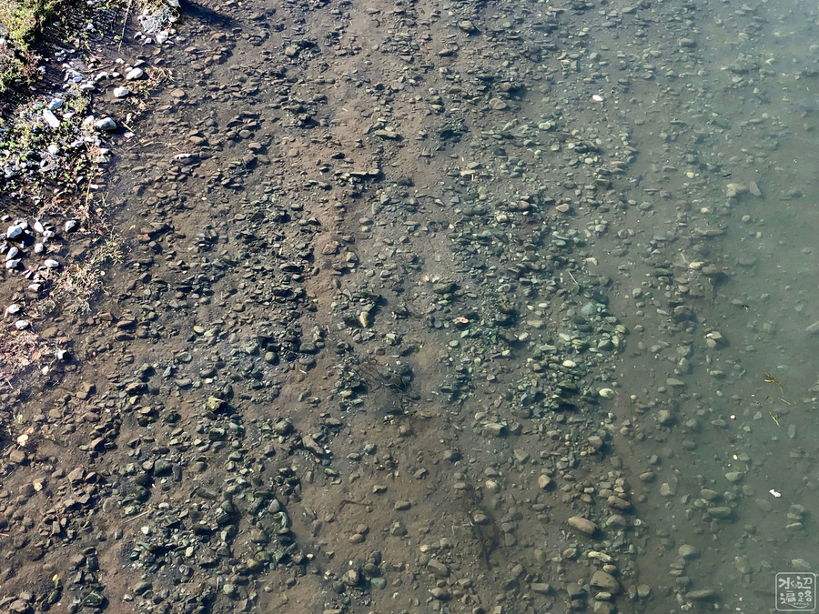 f:id:cippillo:20190929180901j:plain f:id:cippillo:20190929180901j:plain