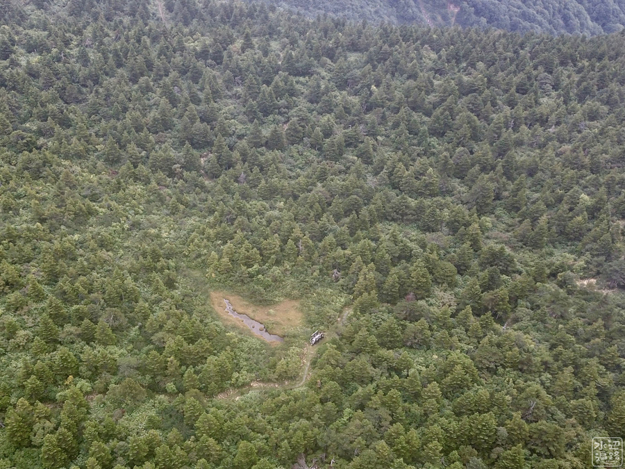 ひょうたん沼 山形県上山 水辺遍路 ひょうたん沼 山形県上山 水辺遍路