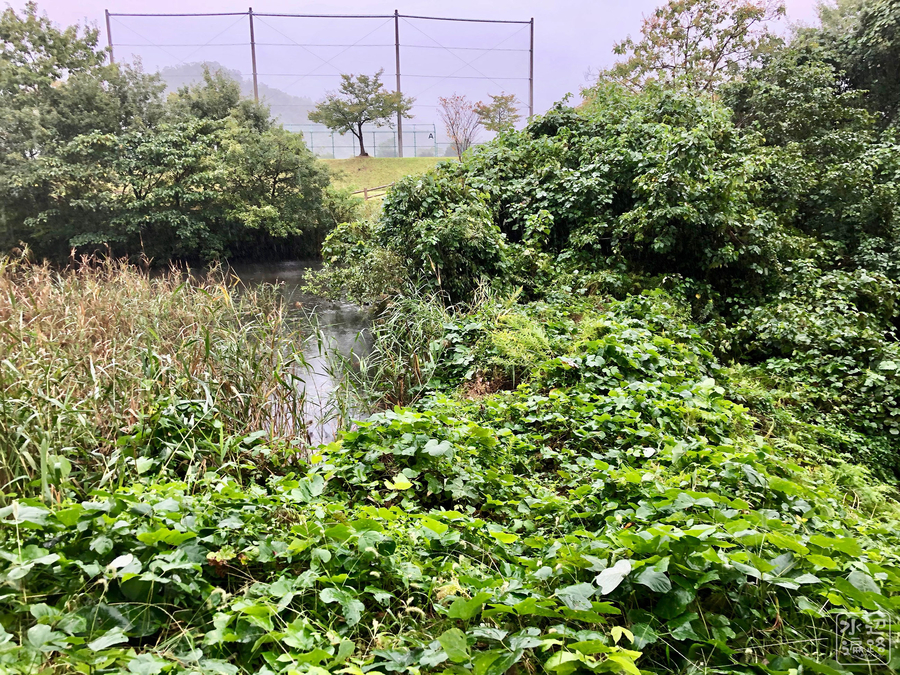 f:id:cippillo:20191004163716j:plain f:id:cippillo:20191004163716j:plain