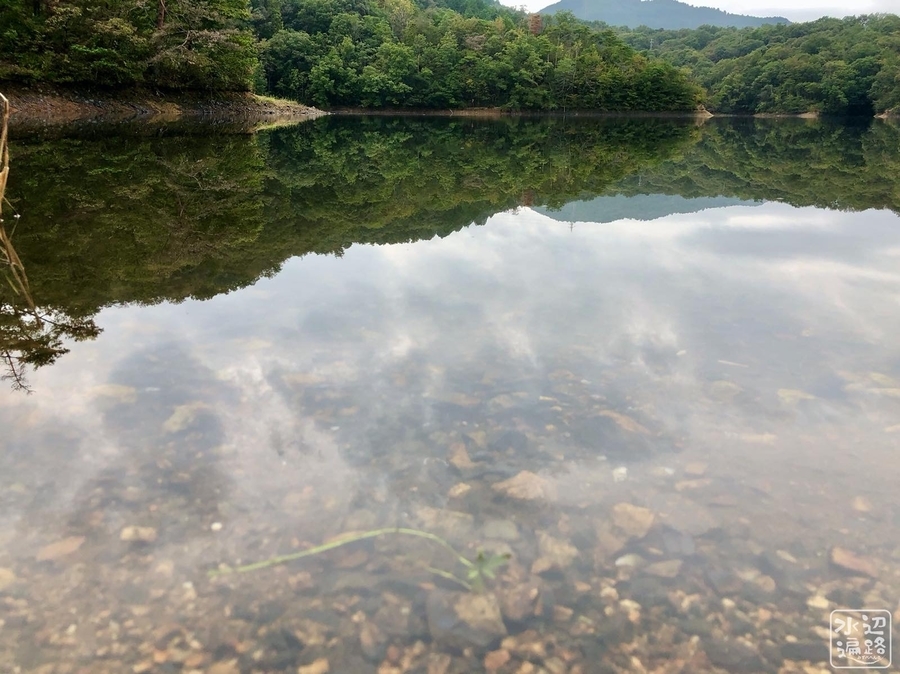 f:id:cippillo:20191008082935j:plain