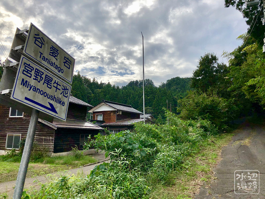 f:id:cippillo:20191010110721j:plain
