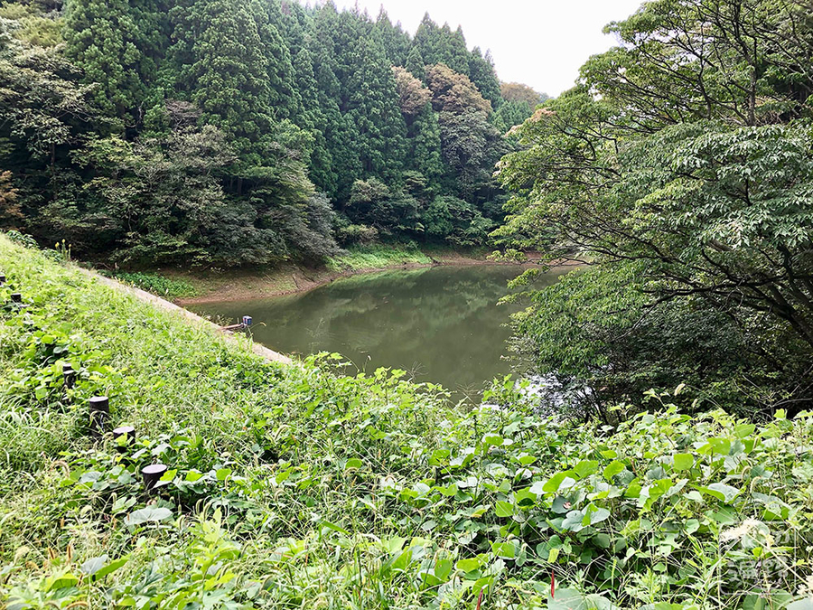 f:id:cippillo:20191010110737j:plain