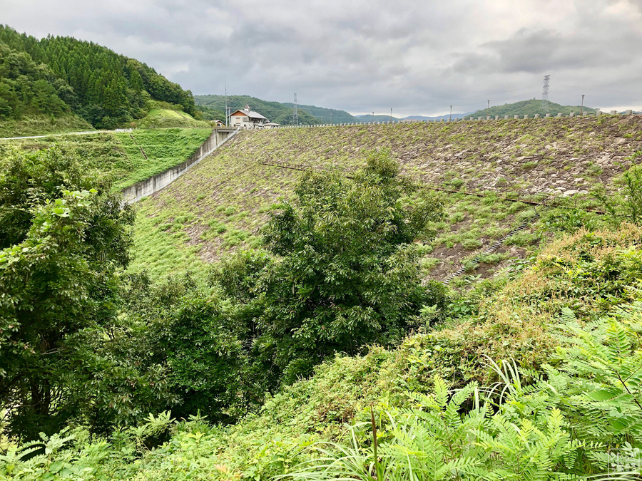 f:id:cippillo:20191013164100j:plain f:id:cippillo:20191013164100j:plain