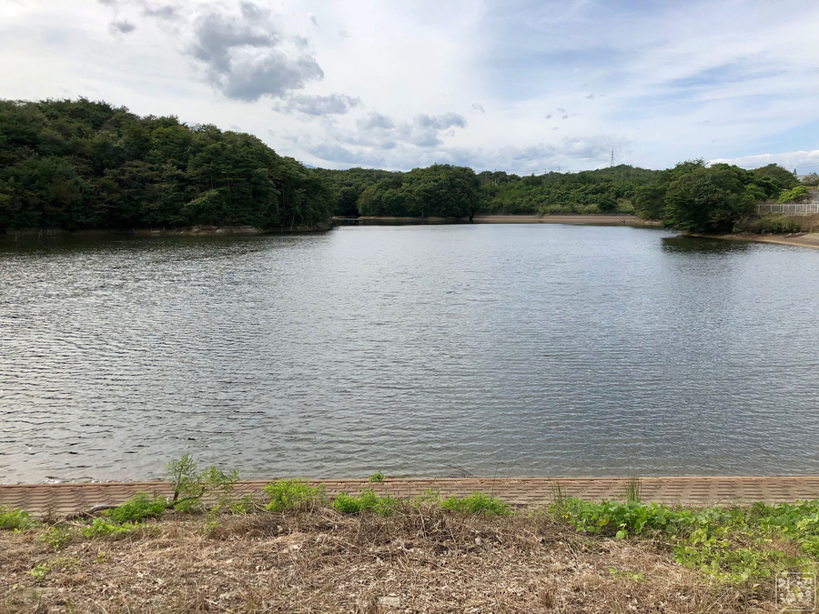 f:id:cippillo:20191015084339j:plain
