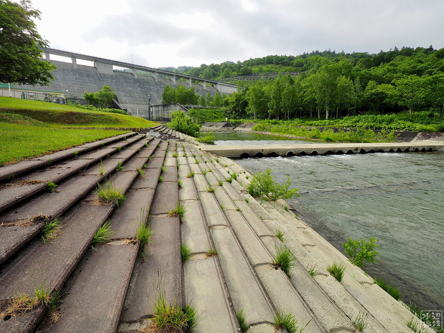 f:id:cippillo:20191015155917j:plain