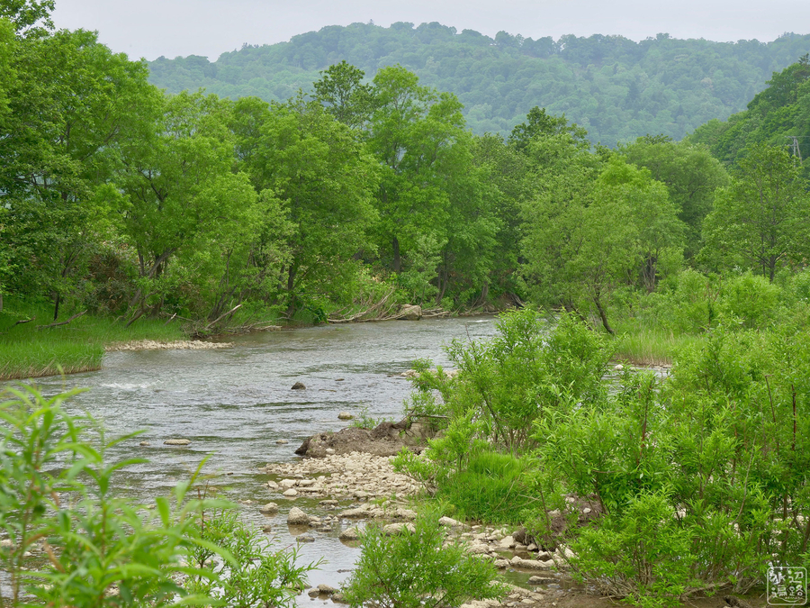 f:id:cippillo:20191015160108j:plain