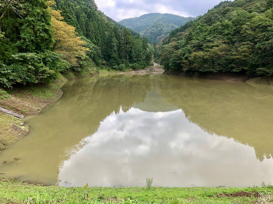 f:id:cippillo:20191020161642j:plain