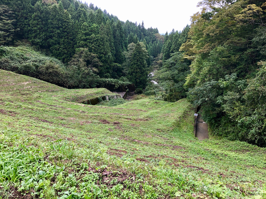 f:id:cippillo:20191020161652j:plain