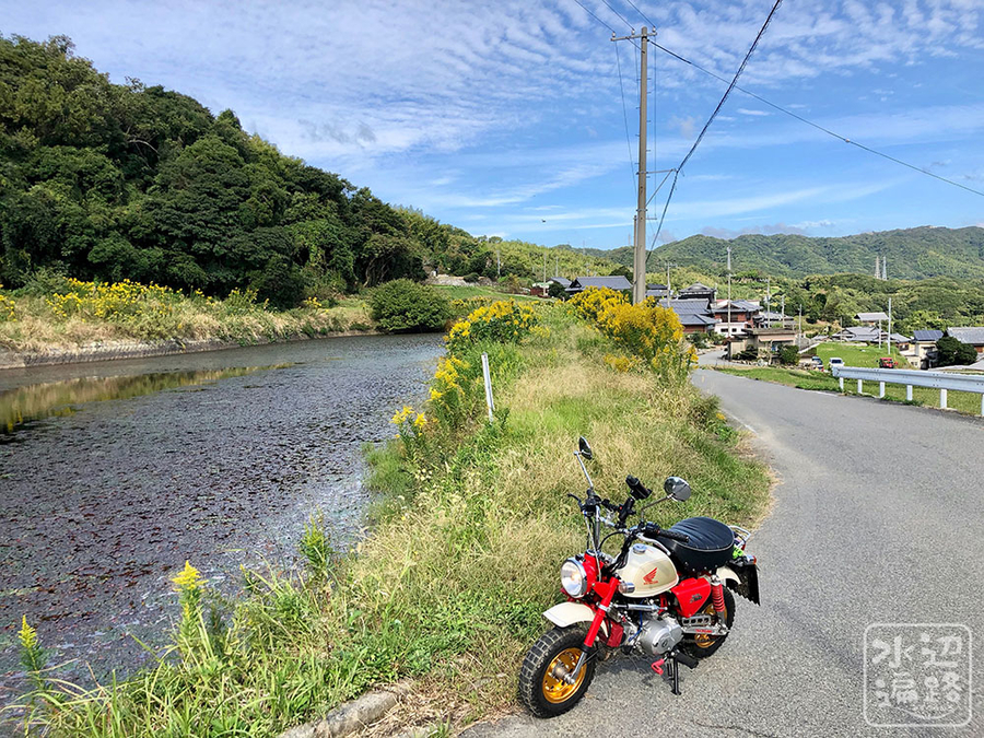 津村造園の池 仮称 兵庫県淡路 水辺遍路