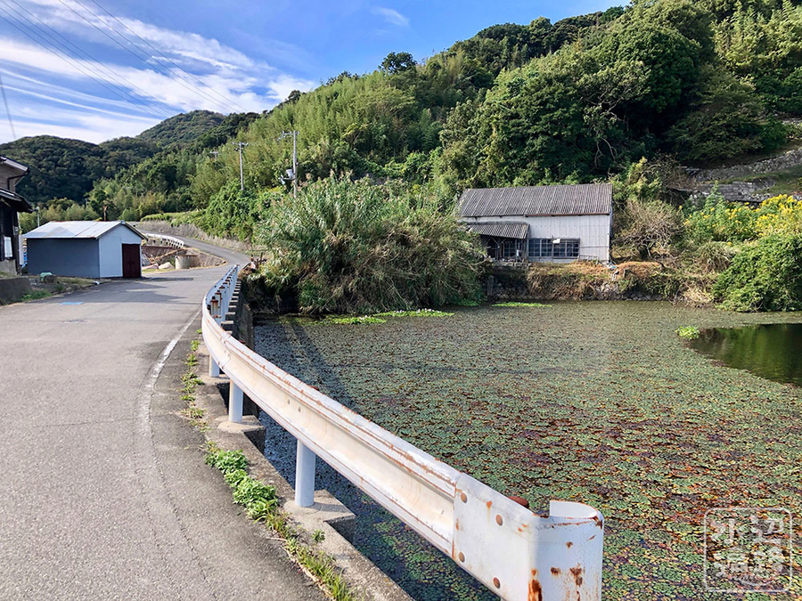 津村造園の池 仮称 兵庫県淡路 水辺遍路