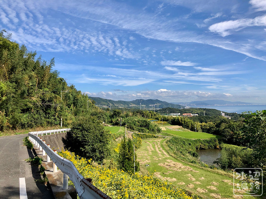 f:id:cippillo:20191024184637j:plain