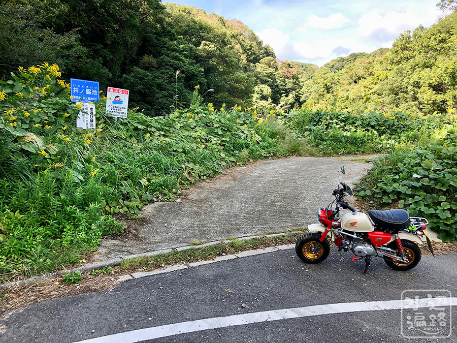 f:id:cippillo:20191024184715j:plain